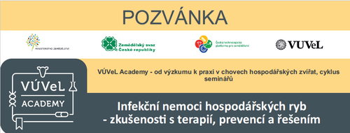 Snímek obrazovky 2024-08-28 104532.png